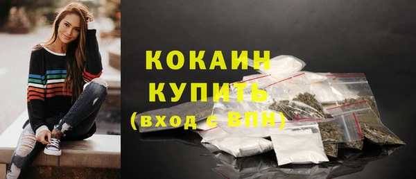 круглые Гусев