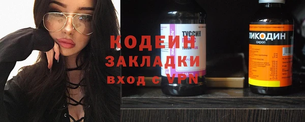 круглые Гусев