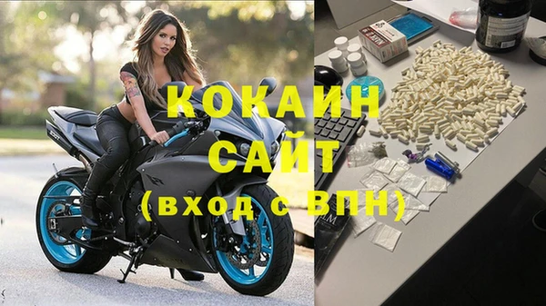 круглые Гусев