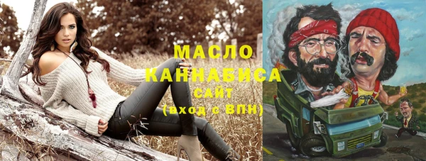 круглые Гусев