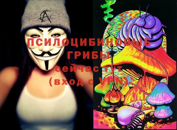 круглые Гусев