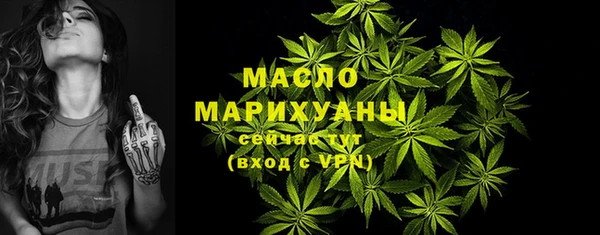 твердый Дмитриев