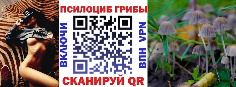 Купить  Озёрск  Псилоцибиновые грибы Psilocybine cubensis 